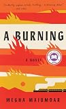 A Burning A Novel