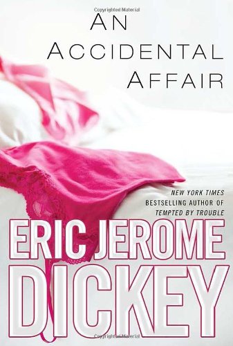 An Accidental Affair book cover
