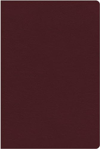 Cover of Holy Bible