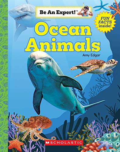 Cover of Ocean Animals (Be an Expert!)
