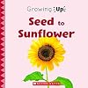 Seed to Sunflower (Growing Up) (Paperback) (Explore the Life Cycle!)