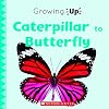 Caterpillar to Butterfly (Growing Up) (Paperback)