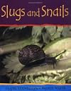 Slugs and Snails (Minibeasts)