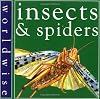 Insects and Spiders (Worldwise)