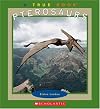 Pterosaurs (True Books: Dinosaurs)