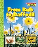 From Bulb To Daffodil Scholastic News Nonfiction Readers How Things Grow