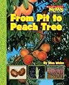 From Pit to Peach Tree