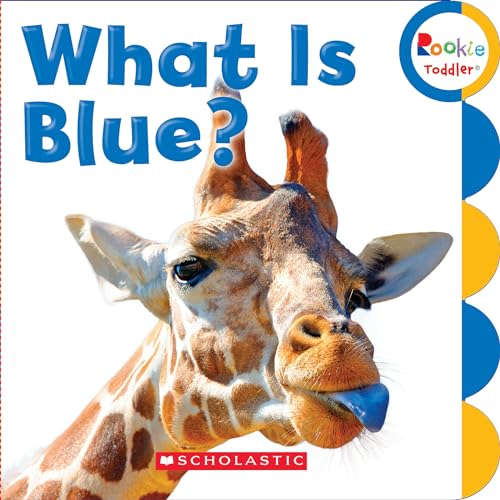 Cover of What Is Blue?