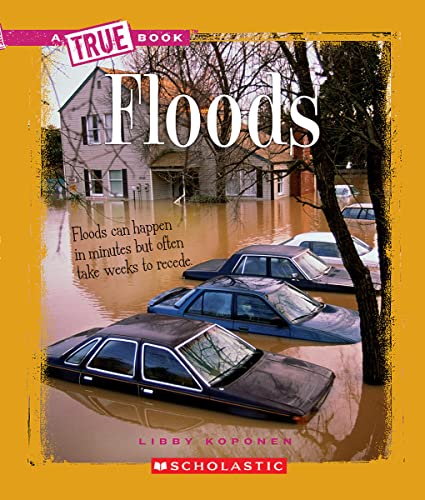 Floods book cover