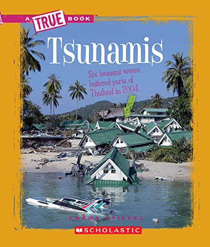 Tsunamis (By: Chana Stiefel) cover