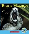 Nature's Children: Black Mambas