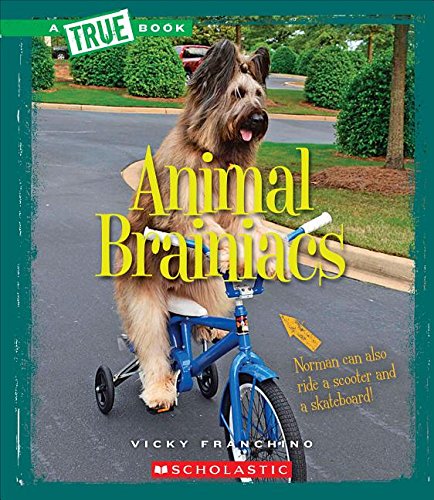 Cover of Animal Brainiacs
