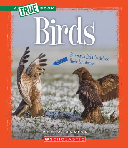 Birds (By: Ann O. Squire) cover