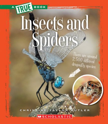 Insects and Spiders (By: Christine Taylor-Butler) cover