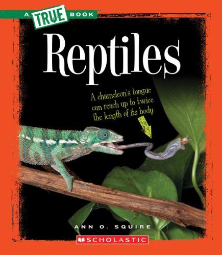 Reptiles (By: Ann O. Squire) cover