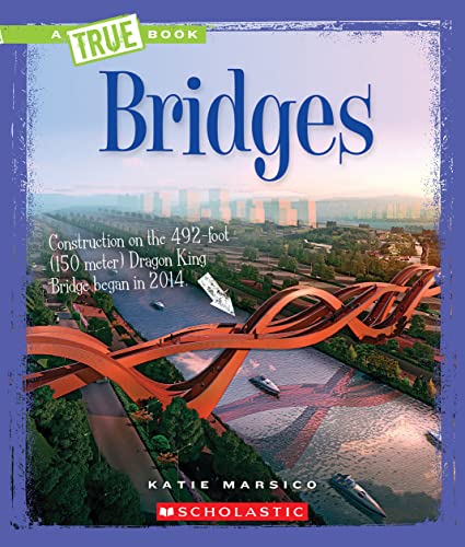 Bridges book cover