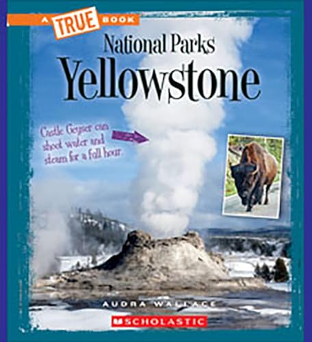 Yellowstone book cover