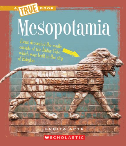 Mesopotamia (By: Sunita Apte) cover