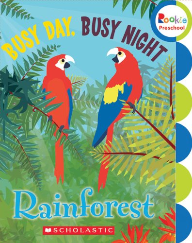 Busy Day, Busy Night: Rain Forest book cover