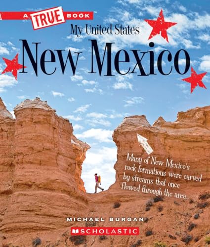 New Mexico (By: Michael Burgan) cover