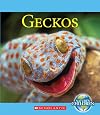 Nature's Children: Geckos