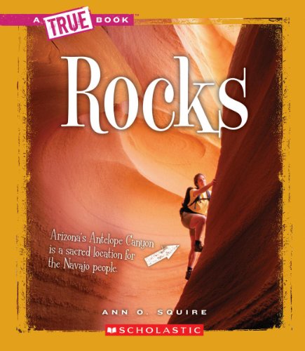 Rocks book cover