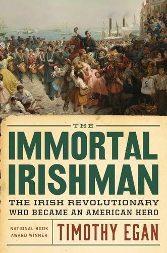 The Immortal Irishman book cover