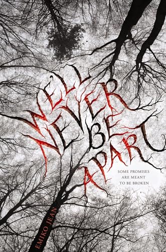 We'll Never Be Apart book cover