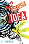 My Brilliant Idea (And How It Caused My Downfall)