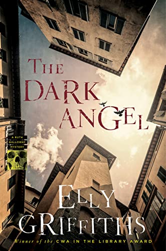 The Dark Angel cover
