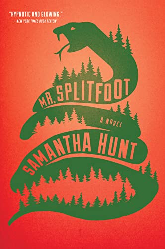 Mr. Splitfoot book cover