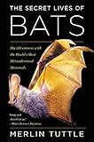 The Secret Lives Of Bats My Adventures With The Worlds Most Misunderstood Mammals
