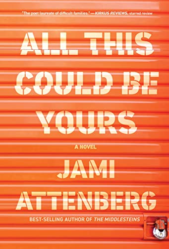 All This Could Be Yours book cover