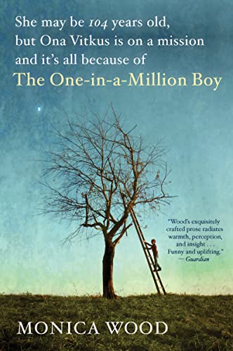 The One-in-a-Million Boy book cover