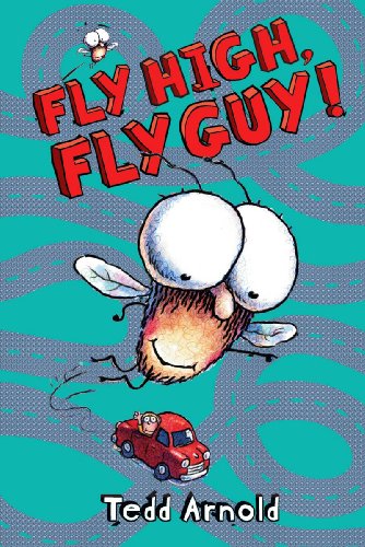 Fly High, Fly Guy! book cover