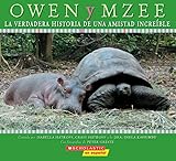 Imagen de portada de Amazon