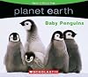 Scholastic Planet Earth: Baby Penguins