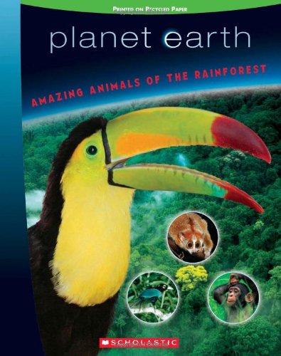 Amazing Animals Of The Rainforest book cover