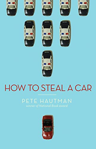How to Steal a Car book cover