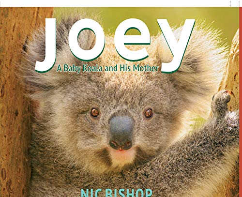 Cover of Joey