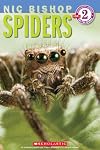Spiders