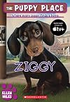 Ziggy