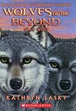 Amazon cover image