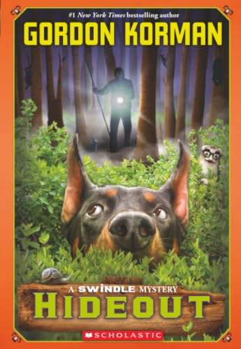 Hideout book cover