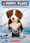 Mocha