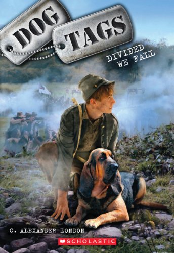 Divided We Fall book cover