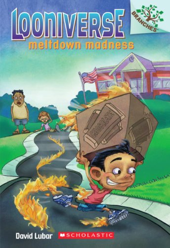Meltdown Madness book cover