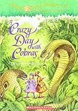 Amazon cover image