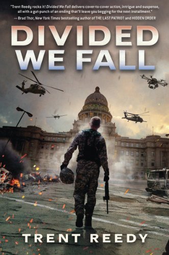Divided We Fall book cover