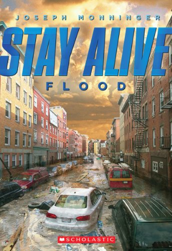 Flood book cover